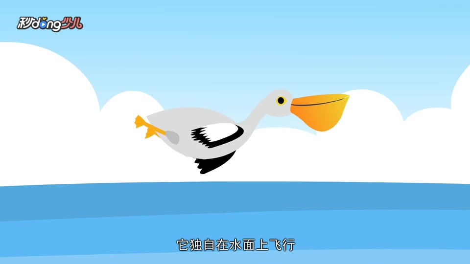 鹈鹕是如何捕鱼的?