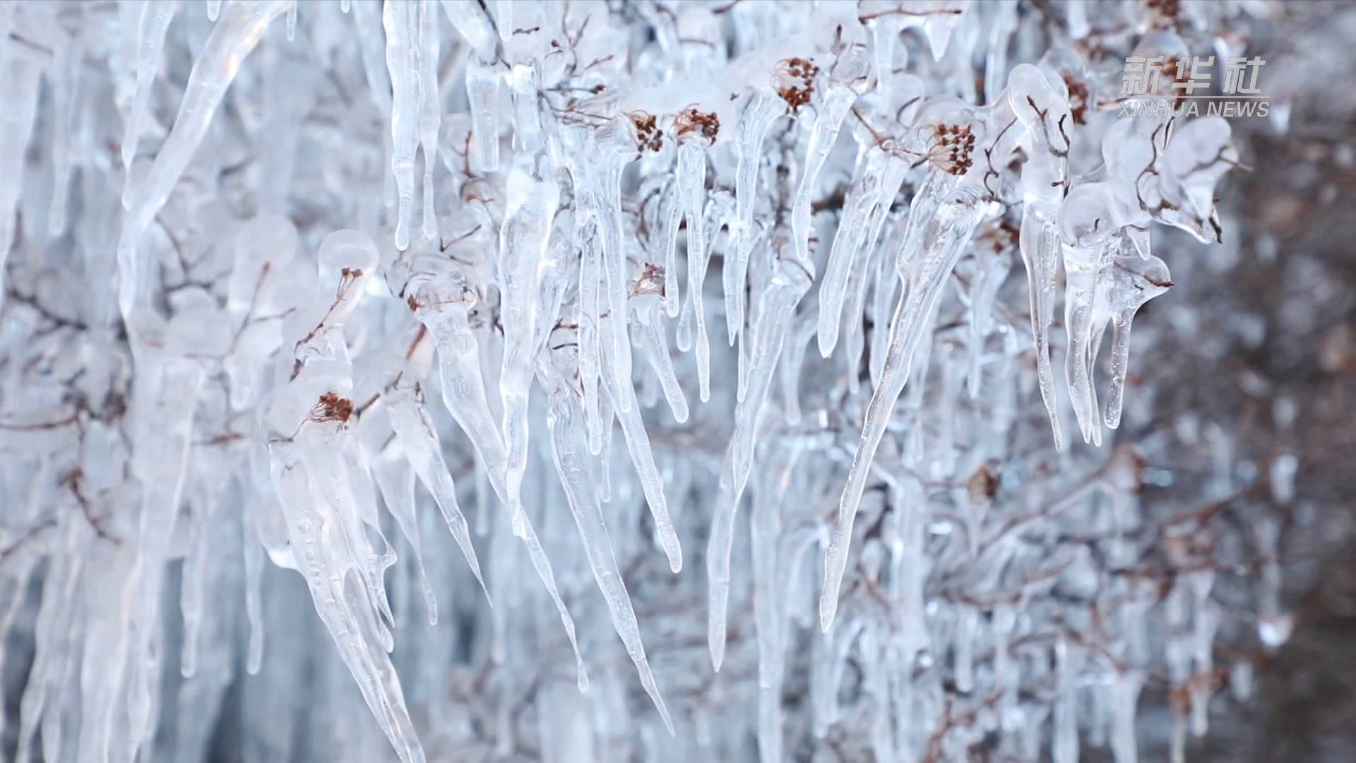 河北武安:晶莹冰挂 扮靓寒冬