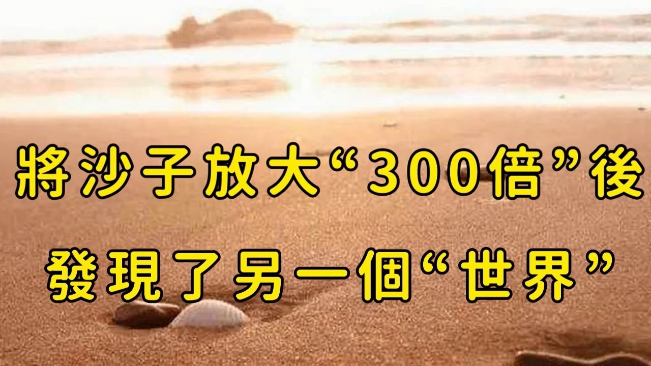 [图]一花一世界是真的?专家将沙子放大300倍,竟发现微型世界!