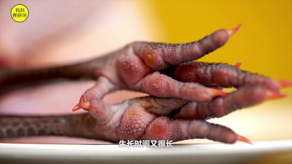 如何挑选土鸡