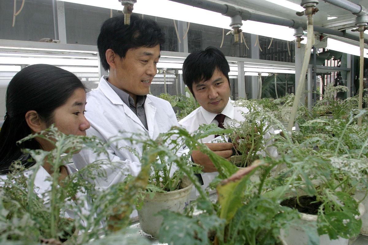 毕节农业学校2022年药用植物栽培与加工专业招生简章