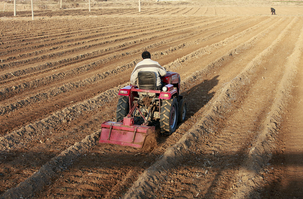 土地流转对农户生计资本的影响—以新疆沙湾市农户为例