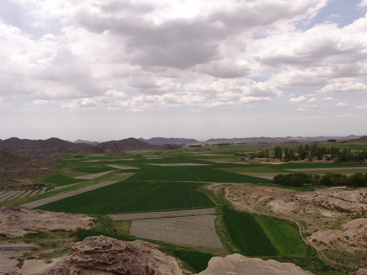 彰武治沙意义重大：保护生态环境、防沙护地、改善民生