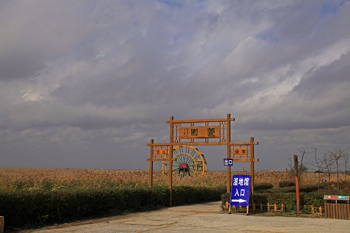 ***_***2011年10月18日,辽宁省盘锦市,世界最大的湿地芦苇荡风光.+++_