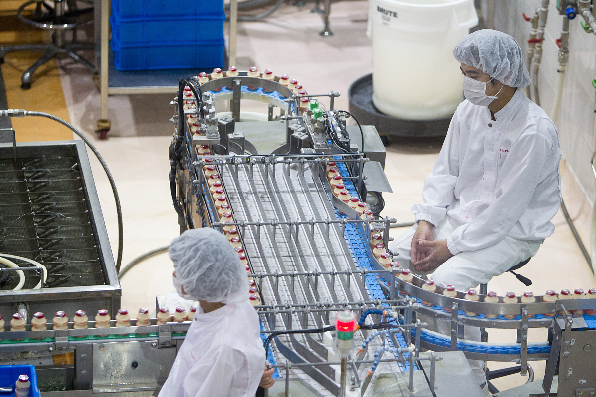 评分机器人1.1 - 自动化评分工具