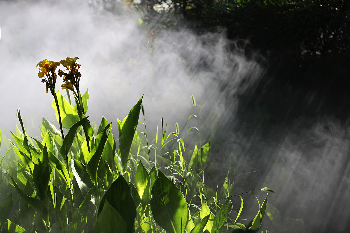 广西经贸职业技术学院室内设计专业就业前景分析