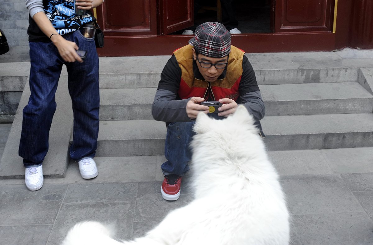 创意骑行活动记录表：探险、挑战、团队合作