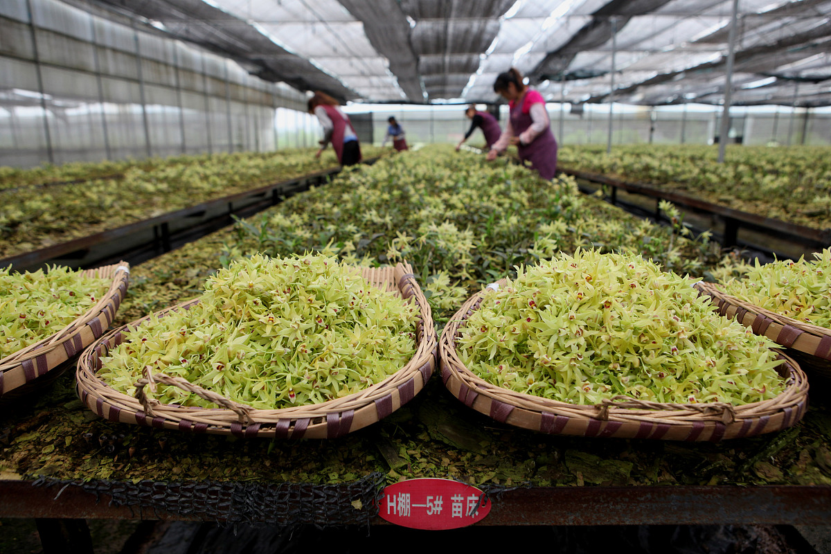 四川凉山州农业学校：特色教学培养优秀农业人才