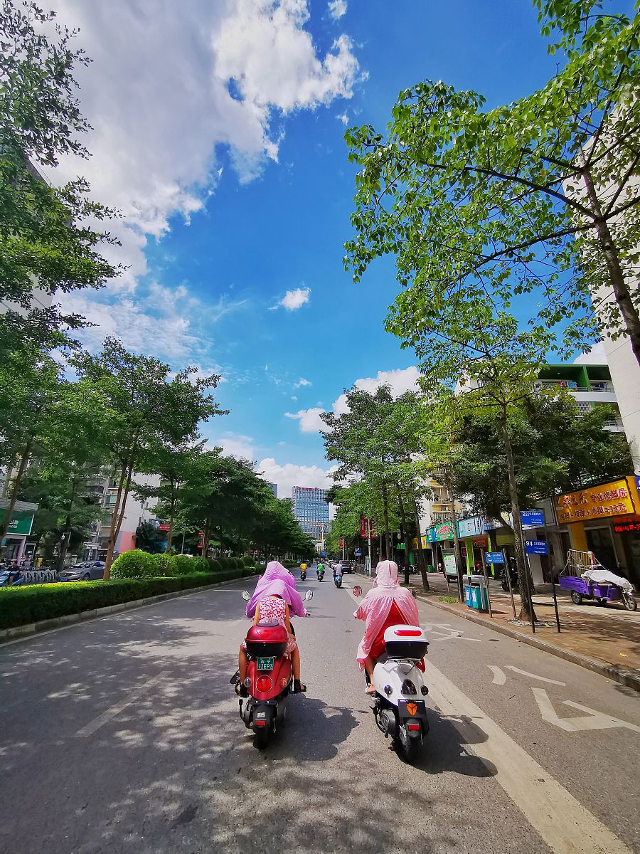 广西城市职业大学物流管理专业优势怎么样发展前景好不好呢