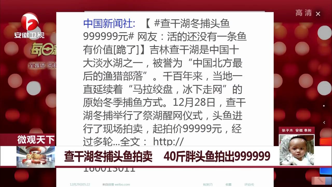 查干湖冬捕头鱼拍卖 40斤胖头鱼拍出999999