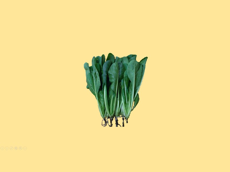 小松菜:亦称小菘菜,为十字花科芸薹属白菜亚种普通白菜的变种