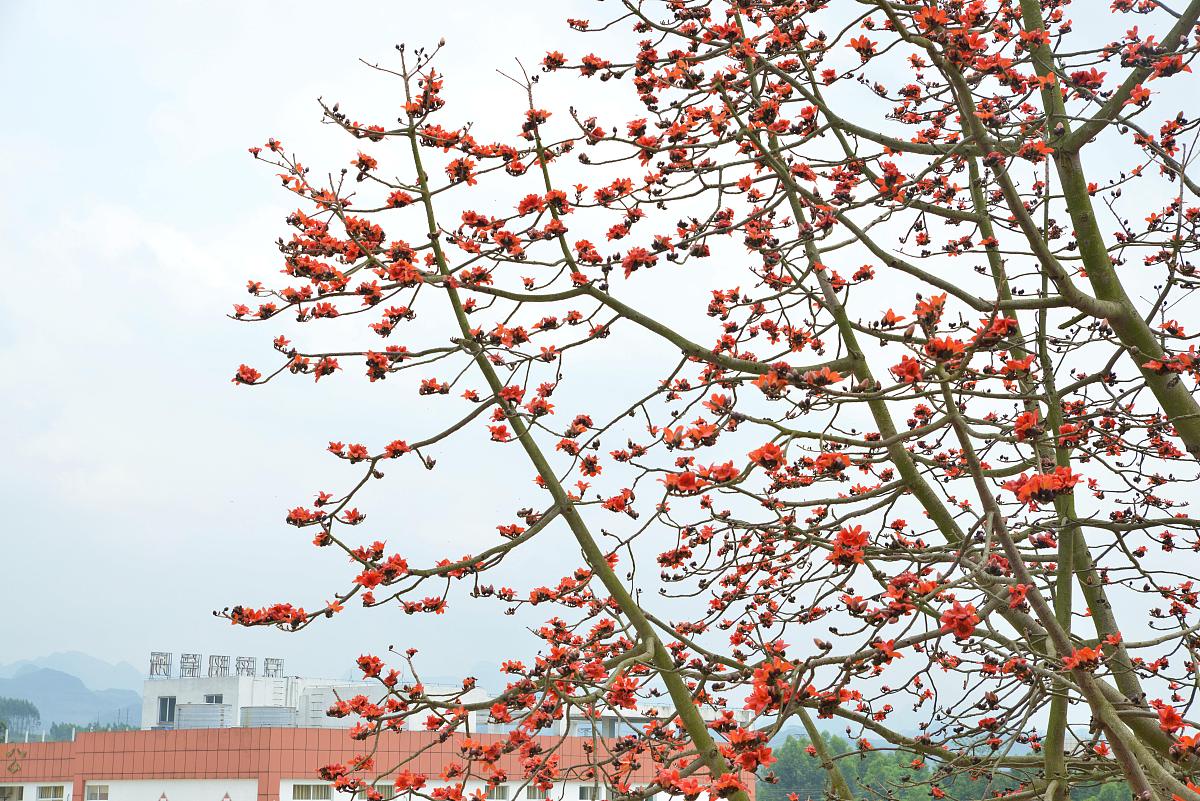 忻城职业技术学校2023年招生简章-怎么样