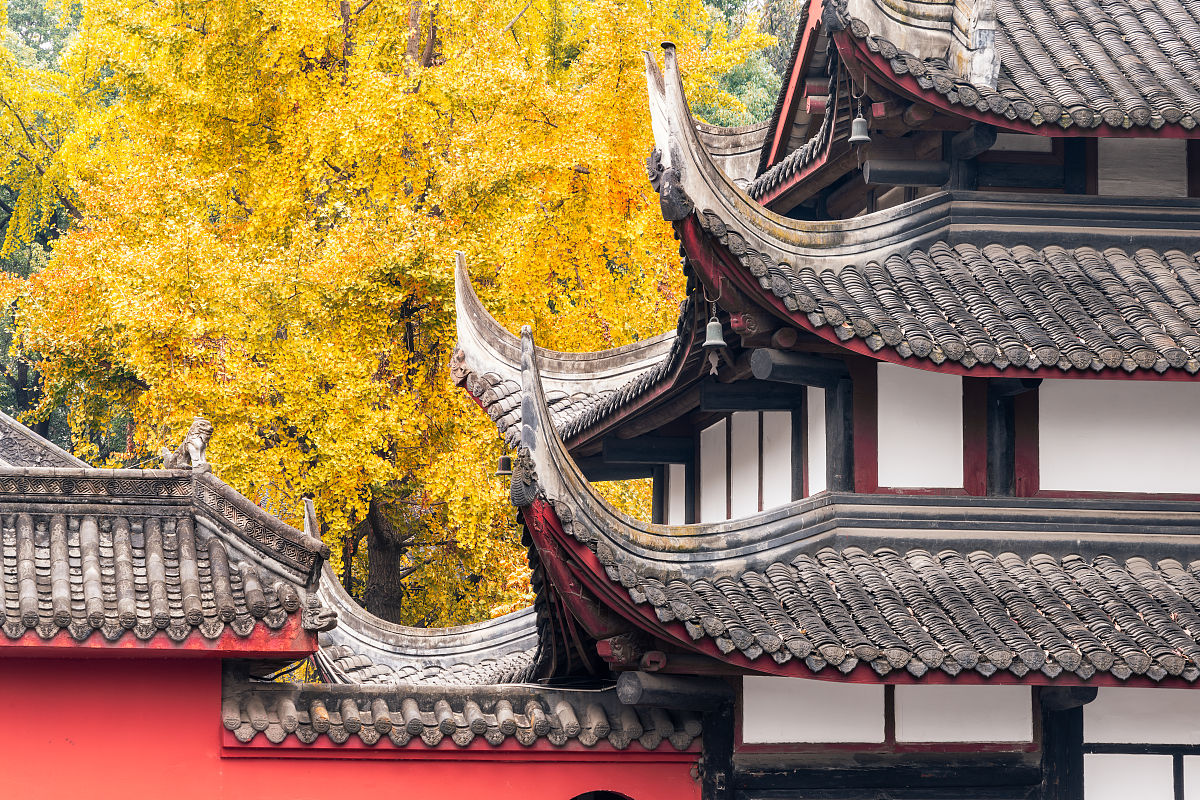 成都育华学校2019年招生要求