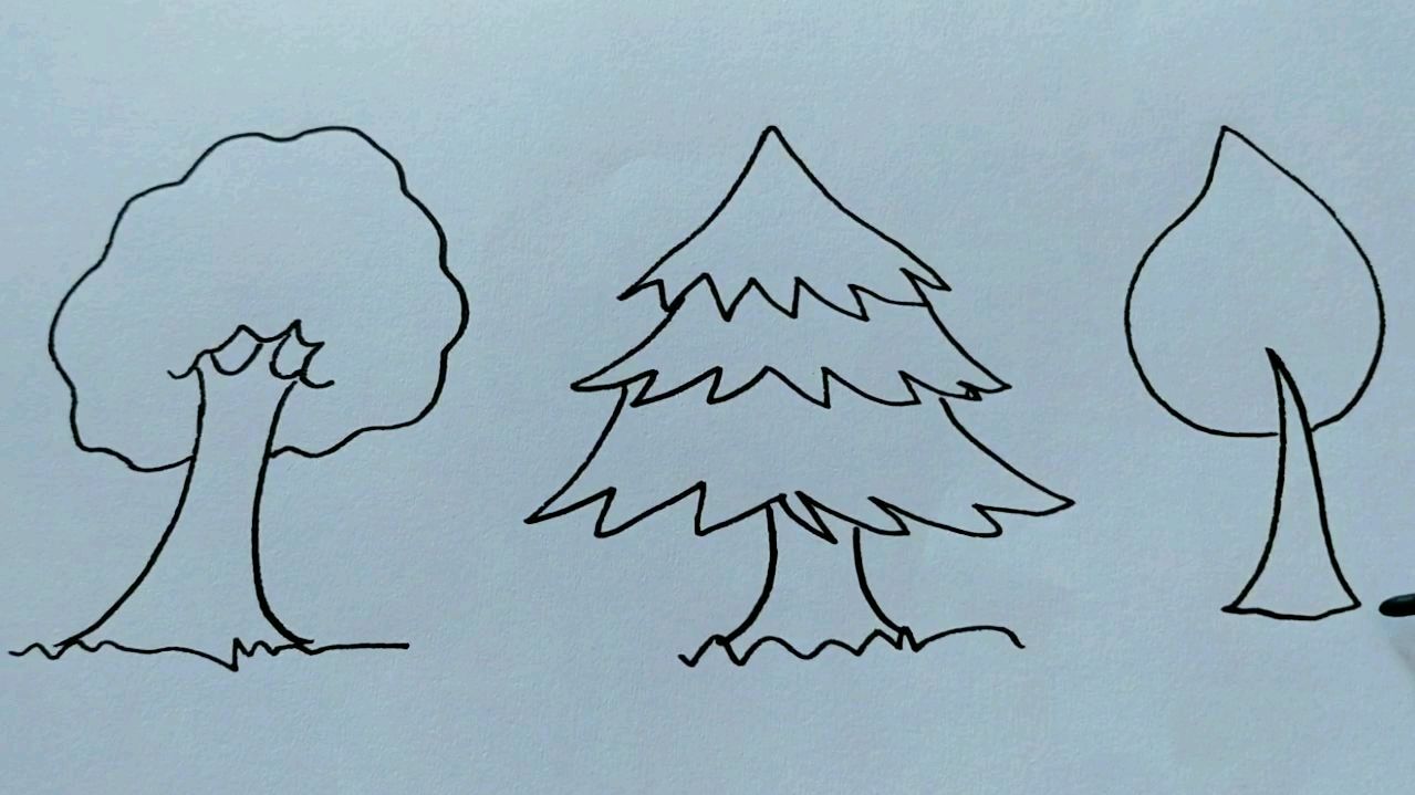 几种树的简单画法
