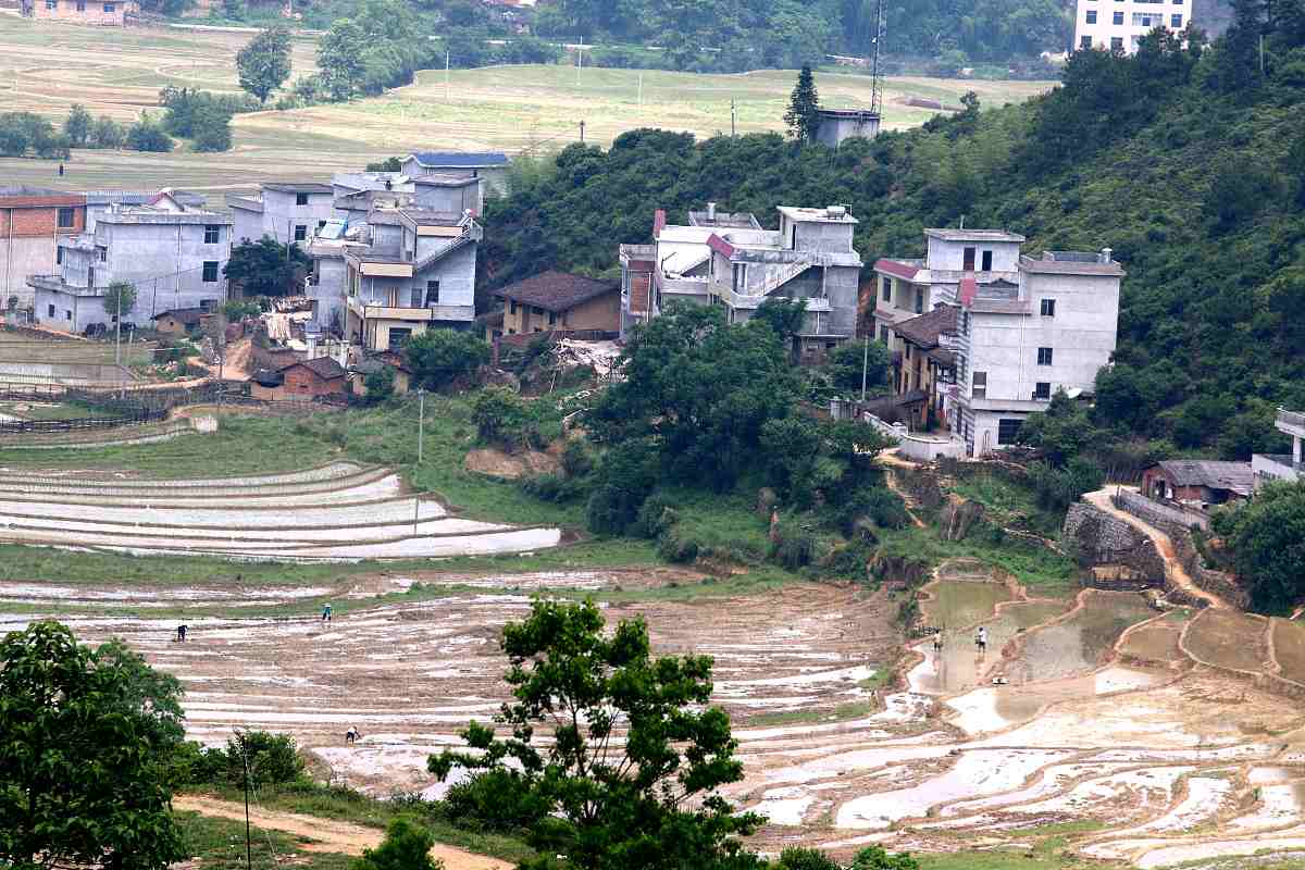 广西陆川县马坡有镇人口数量 - 2020年第七次人口普查数据