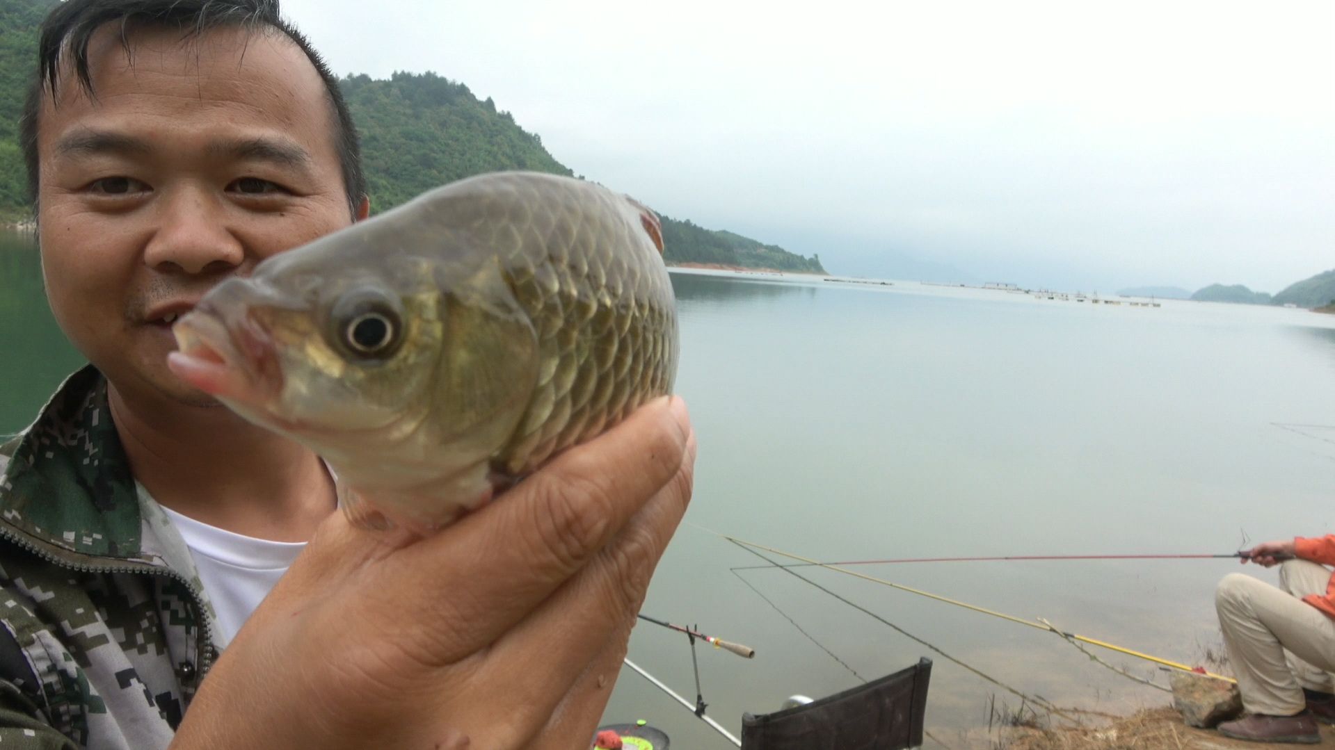 野钓这样配饵,黄金大板鲫一条条被拉出来,农村大叔忙不过来