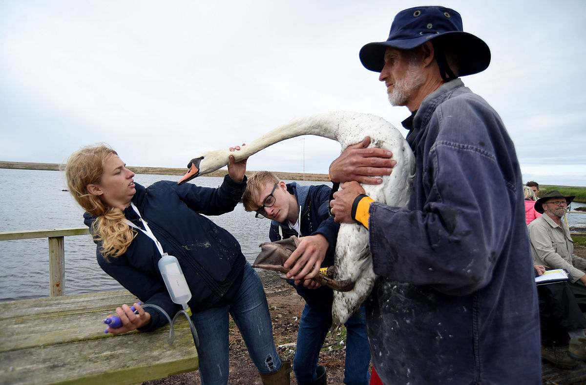 用友U8 101版本是什么时候发布的