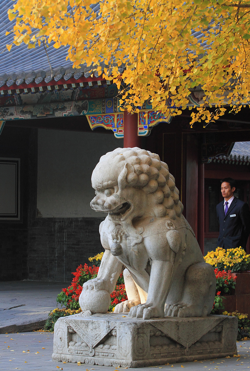 贵州会计电算化专业学校排名：哪家学校最适合你？