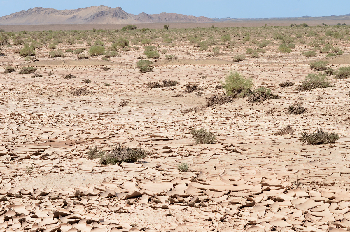 长沙土地分等定级报告