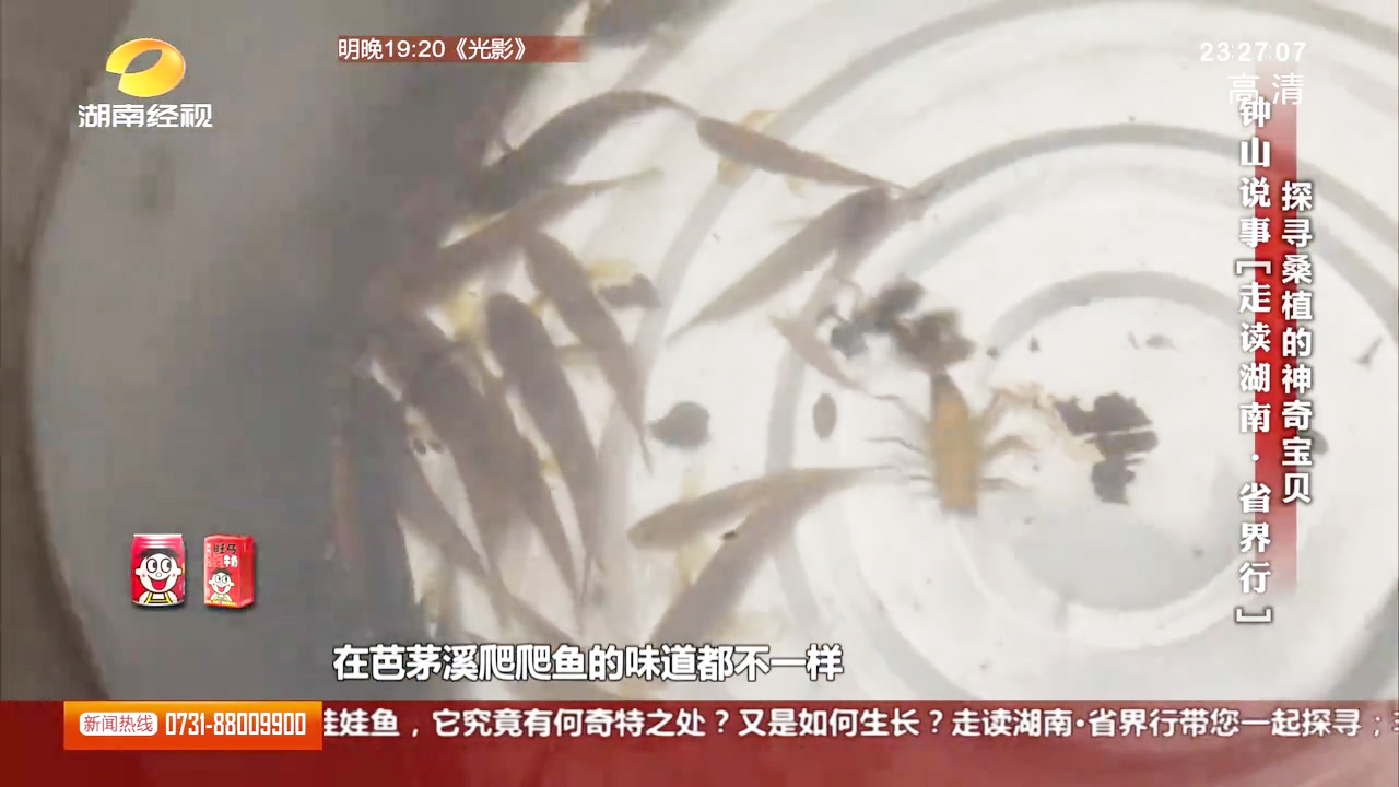 桑植不仅有好山好水好山歌,河里还有宝贝,据说跟恐龙同岁!