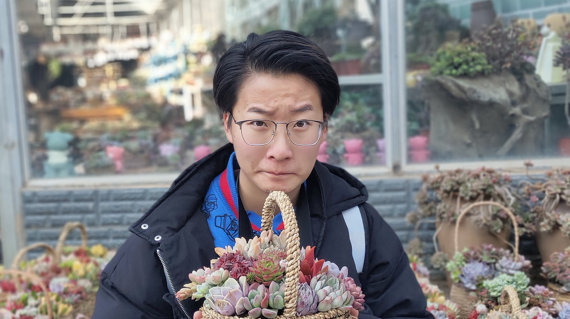 多肉一盆一盆放是不是特别占地方啊,教你一招,做个多肉拼盘