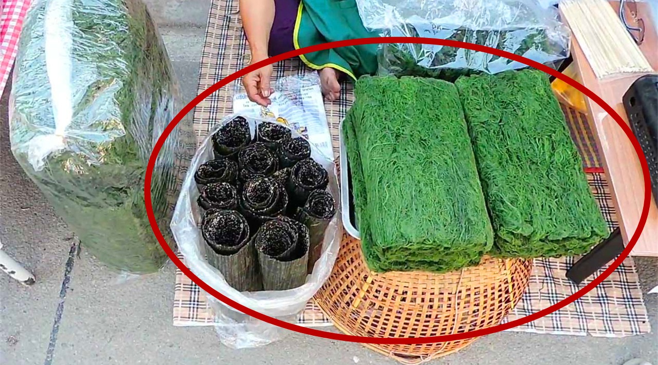 我们经常吃的海苔和紫菜,究竟有什么不一样的地方呢?