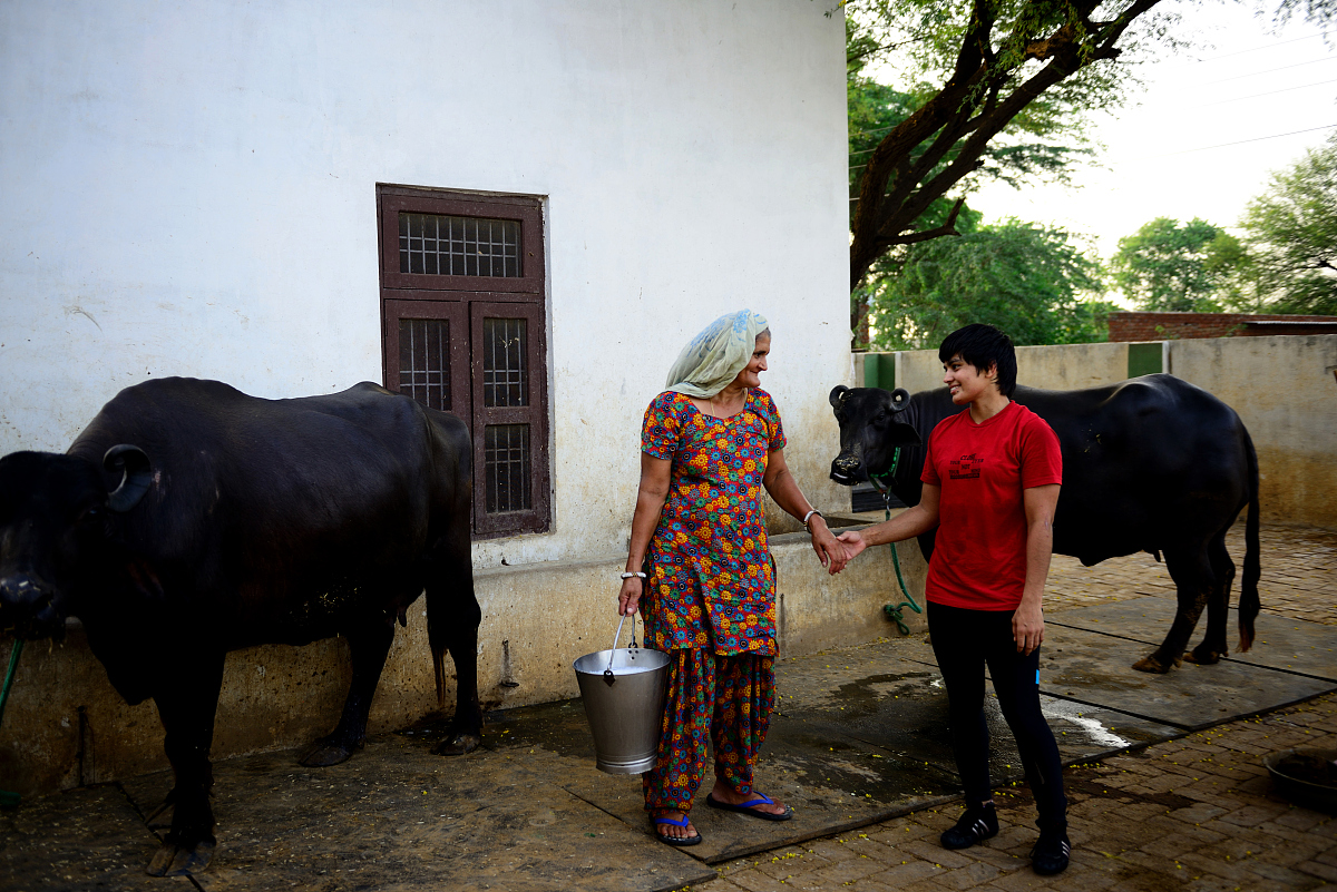农产品公司的实习1到10周的周记案例要求每篇