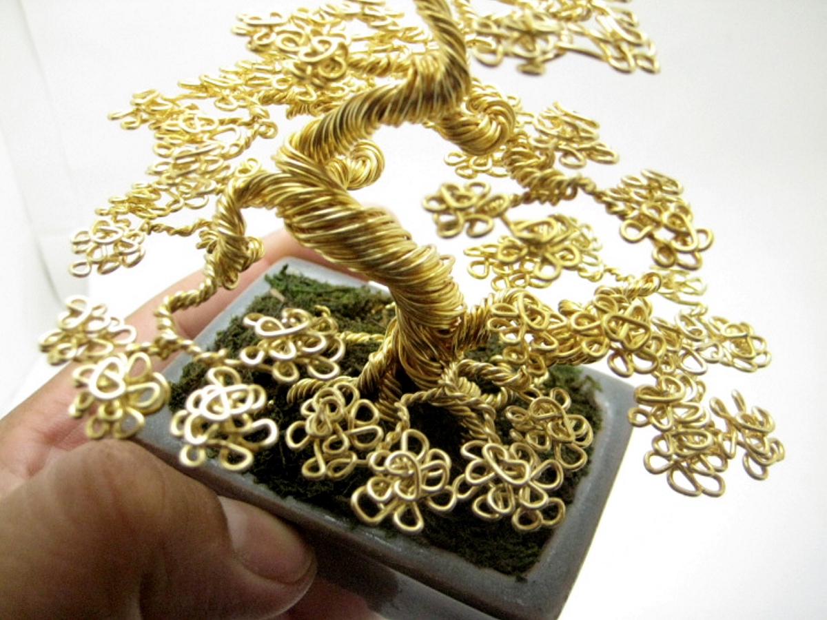 2013年4月8日消息(具体拍摄时间不详),美国加州39岁的盆栽爱好者肯·
