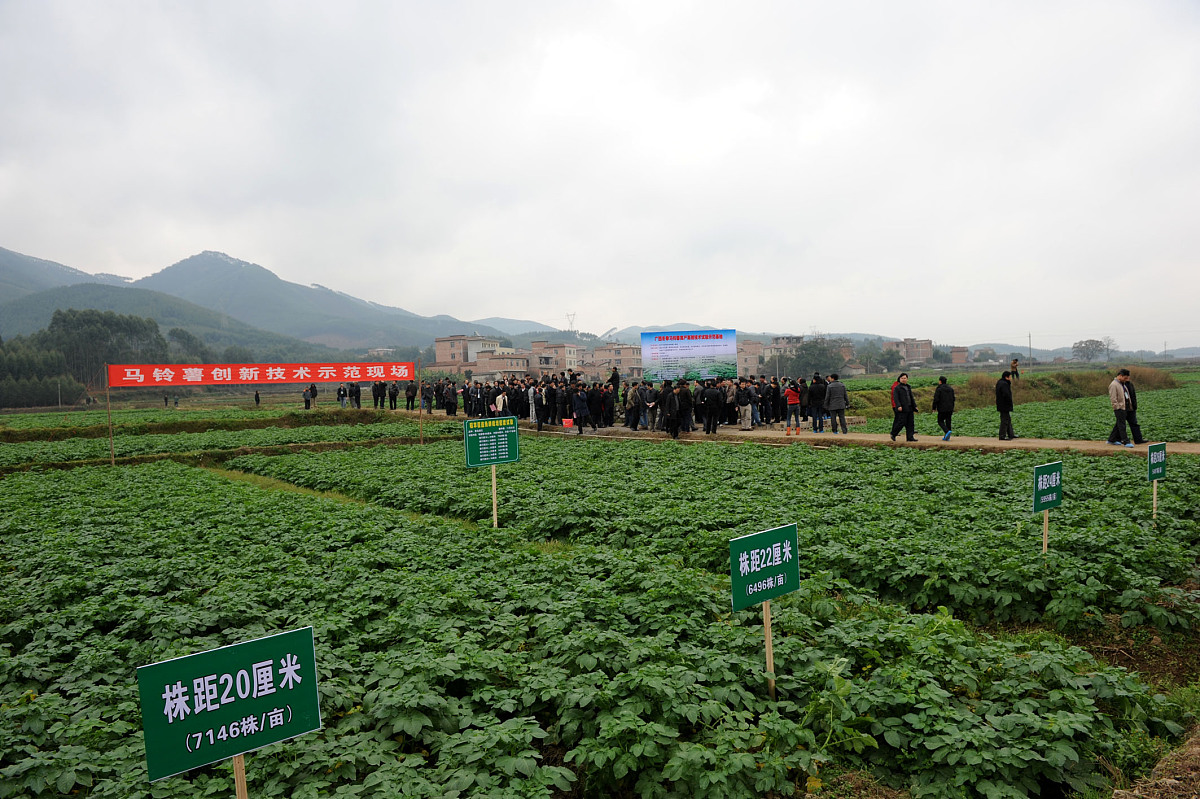 南宁市武鸣区中通快递公司运营情况调研报告