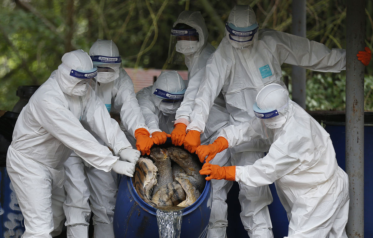 中东地区生物技术发展与生物安全挑战