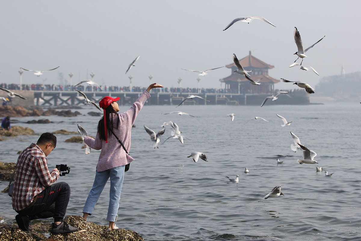 青岛职业技术学院休闲服务与管理专业怎么样