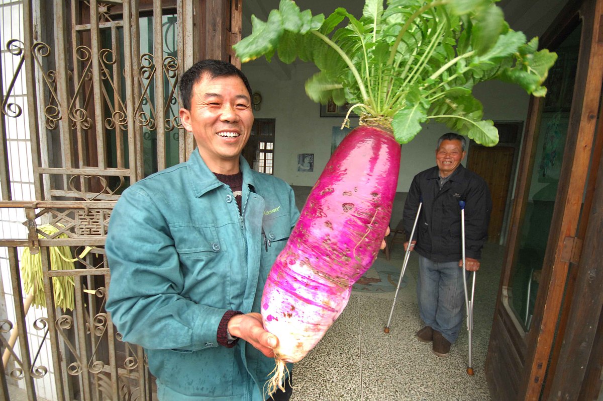 单层2020厚度13公分 每平方能承重多少公斤