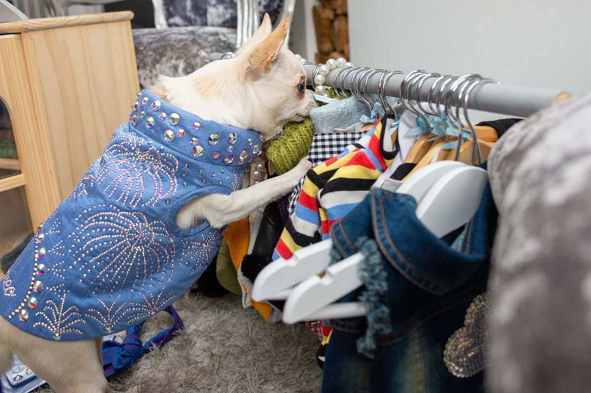 遵义红花岗区中等职业学校汽车美容与装潢专业怎么样？就业前景如何？