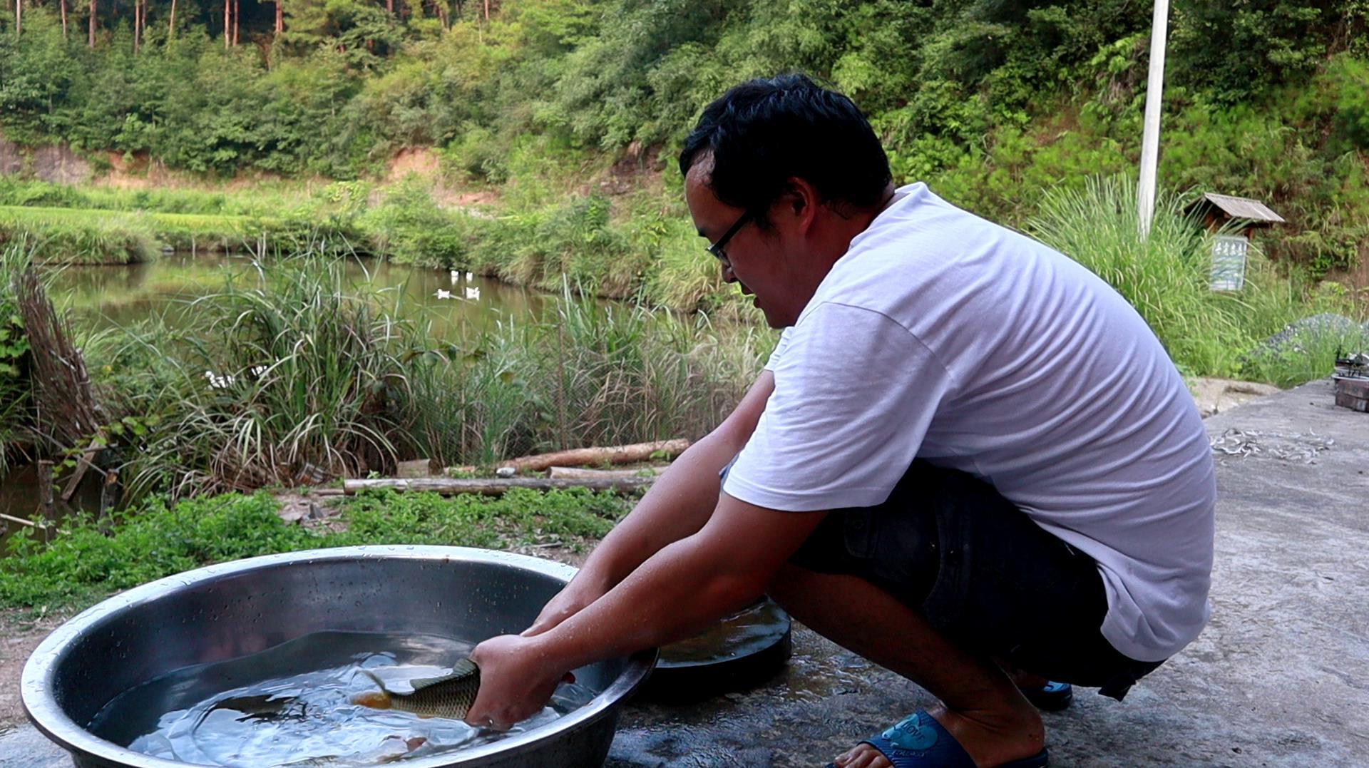 刚抓的稻花鱼,晚上煮鲤鱼豆腐汤,老妈不怎么吃鱼的都说好喝