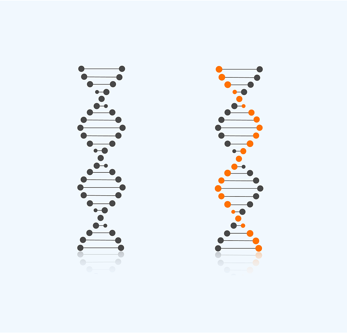我国学者童第周等人从两栖类动物蝾螈内脏中提取DNA注入到许多金鱼的受精卵中孵出的鱼苗约有1在嘴后长有蝾螈特有的一根棒状平衡器这一实验表明了DNAA能够复制使前后代保持连续性B能指导蛋白质的合成C能引起可遗传的变异D分子结构具有一定的稳定性 说明理由