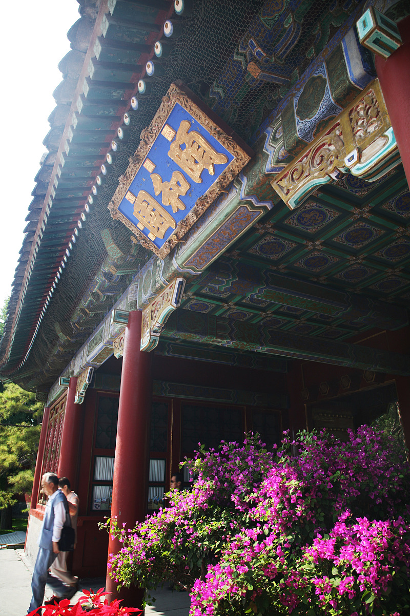 结合科学文化和人文文化的发展演进脉络谈谈学习自然辨证法课程的意义不少于600字