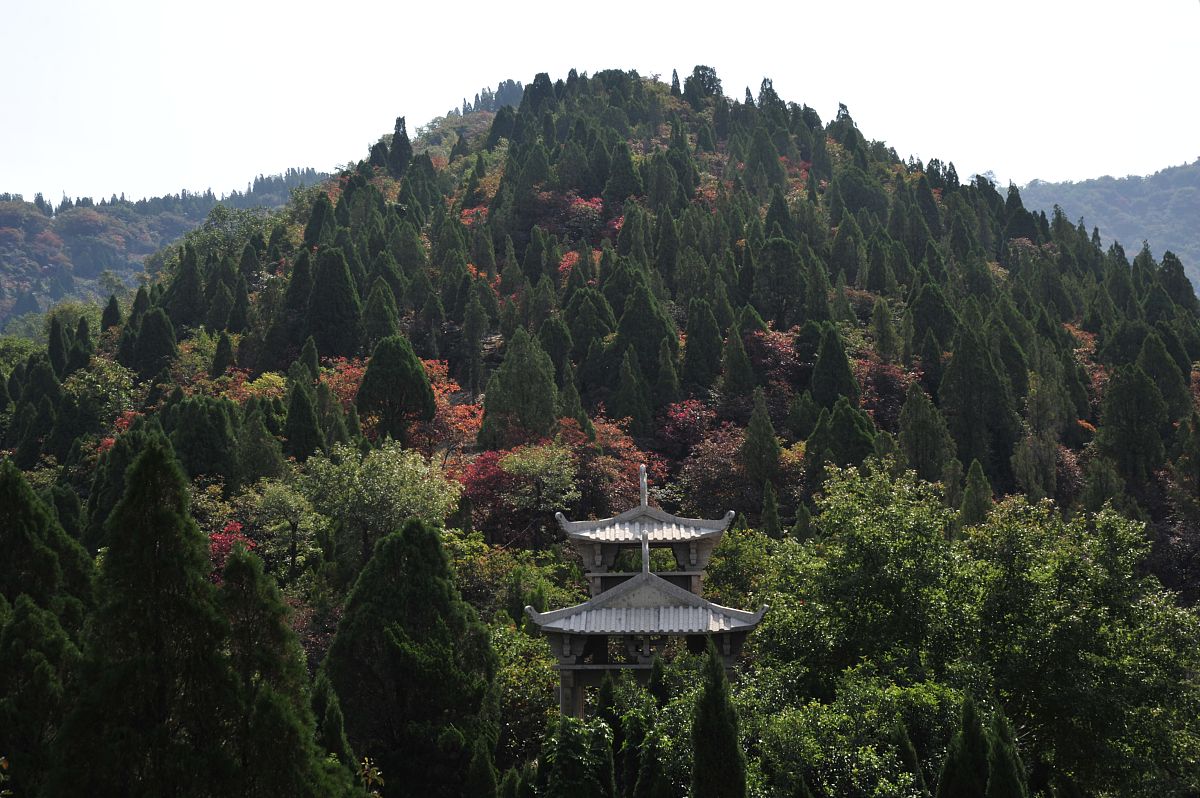 贵州工程职业学院旅游管理专业可选择哪些就业方向