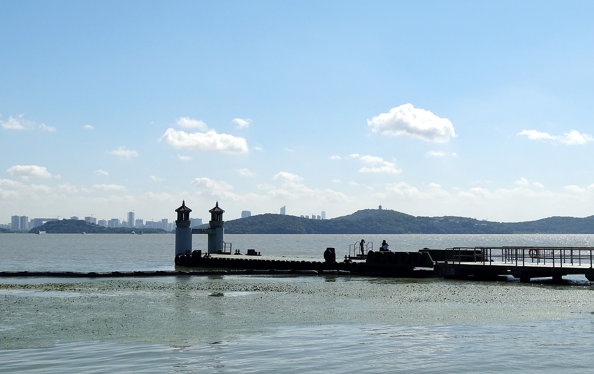 窗外 写一篇300字小学作文