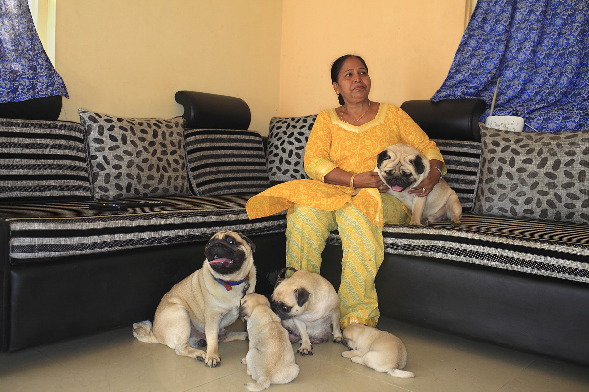 马钢卫校2023年有哪些招生专业