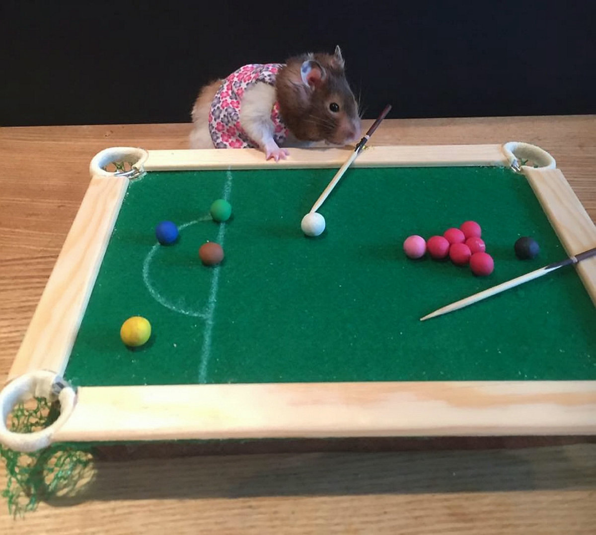 侦探小画家手游更新日志：新增绘画解谜玩法，扮演小画家侦探破解案件