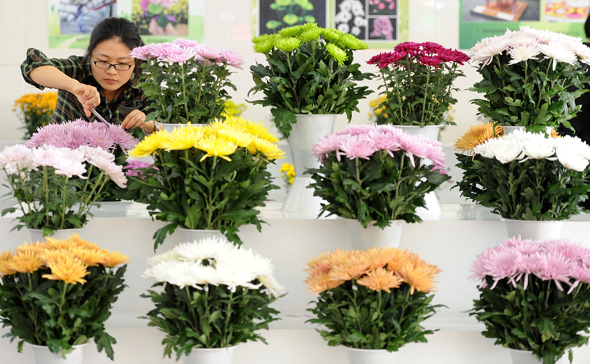 兰州园艺学校是什么办层次