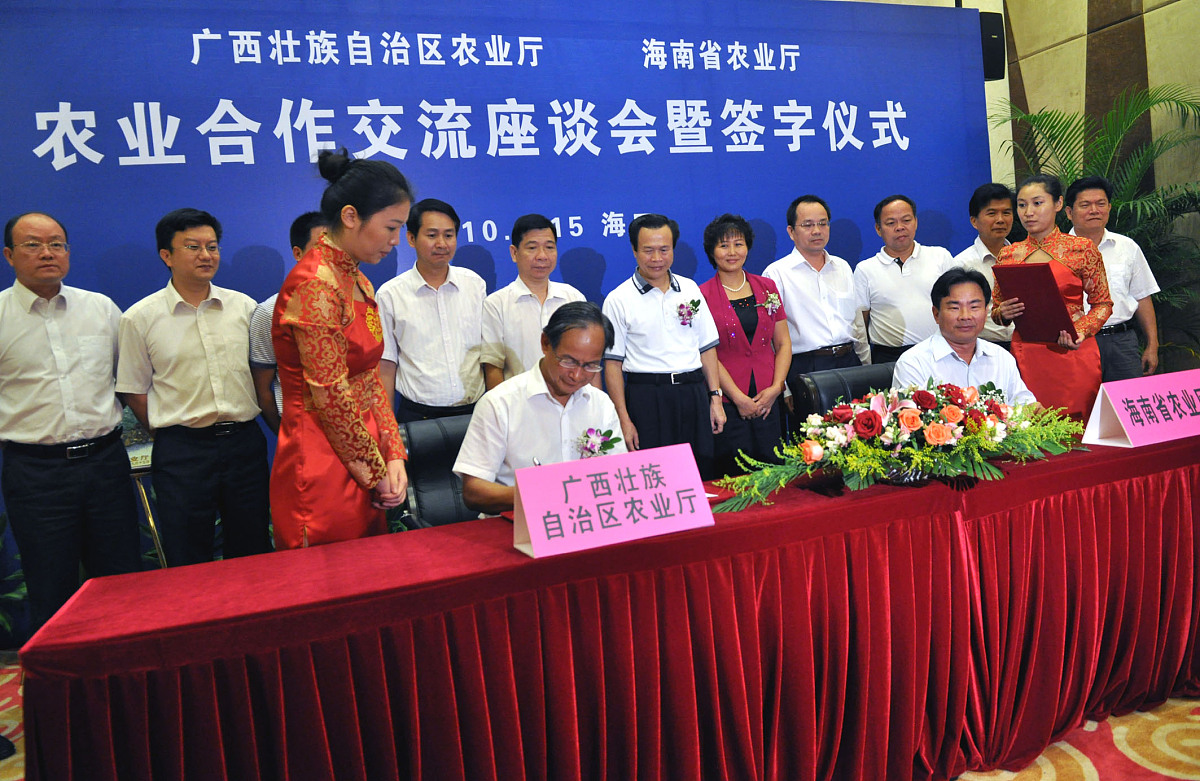 双方协议书格式范文 - 规范合作，互利共赢