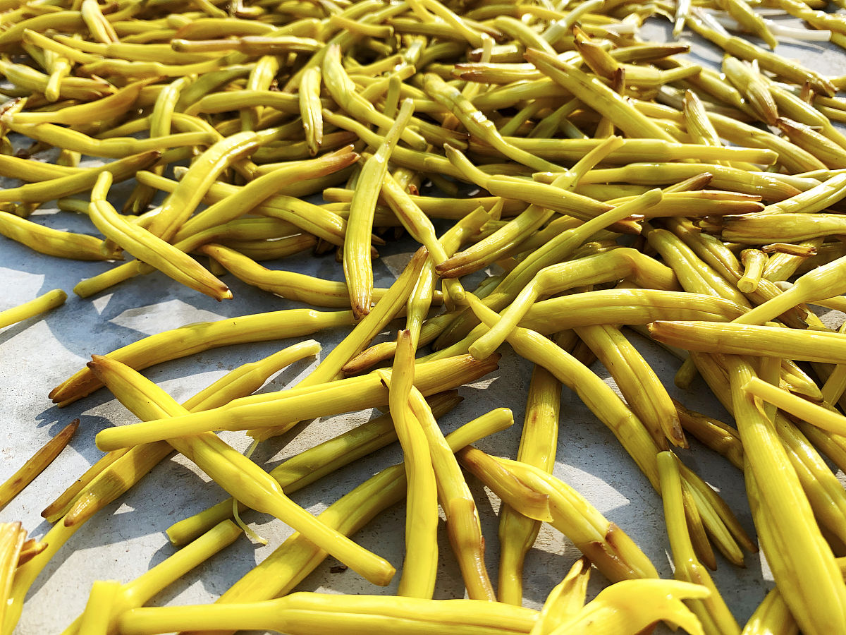 青黄花菜能吃吗