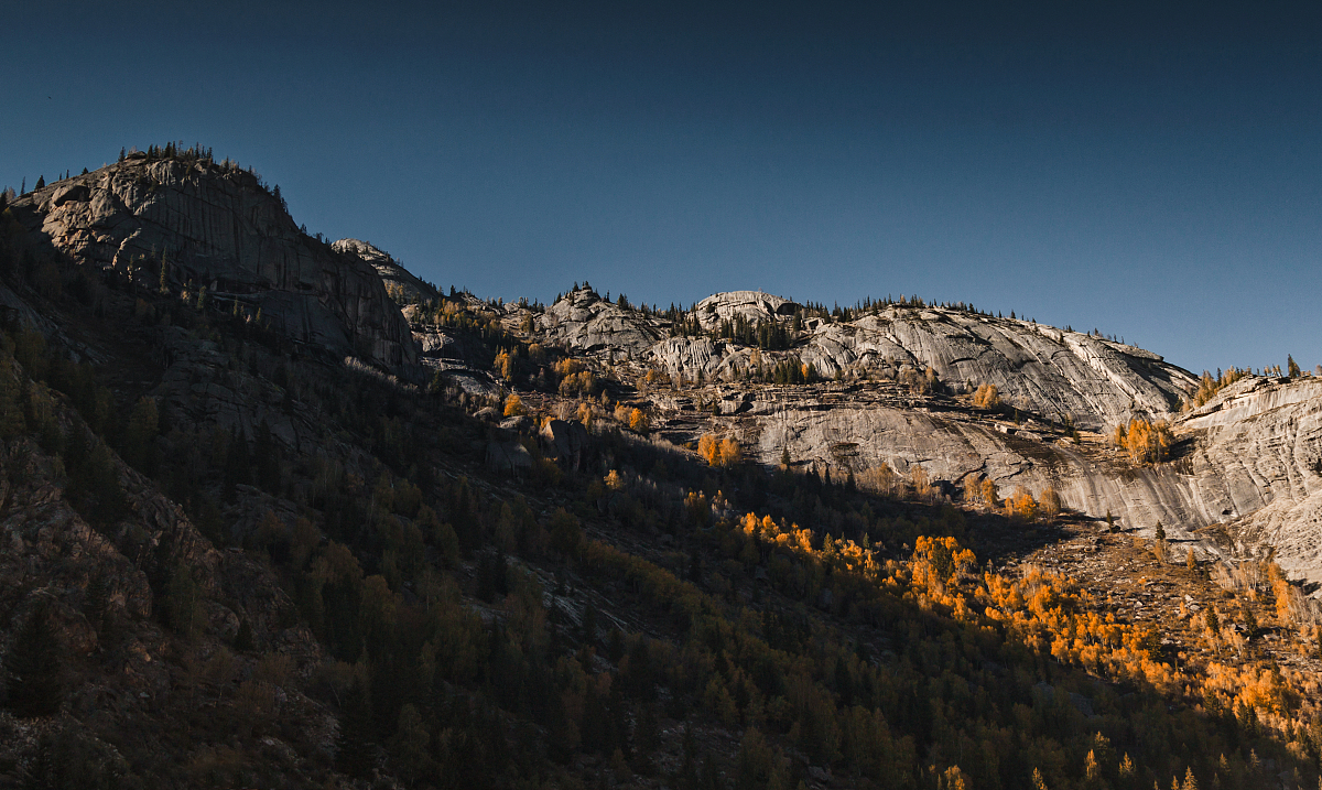 山西大学有没有土木工程专业