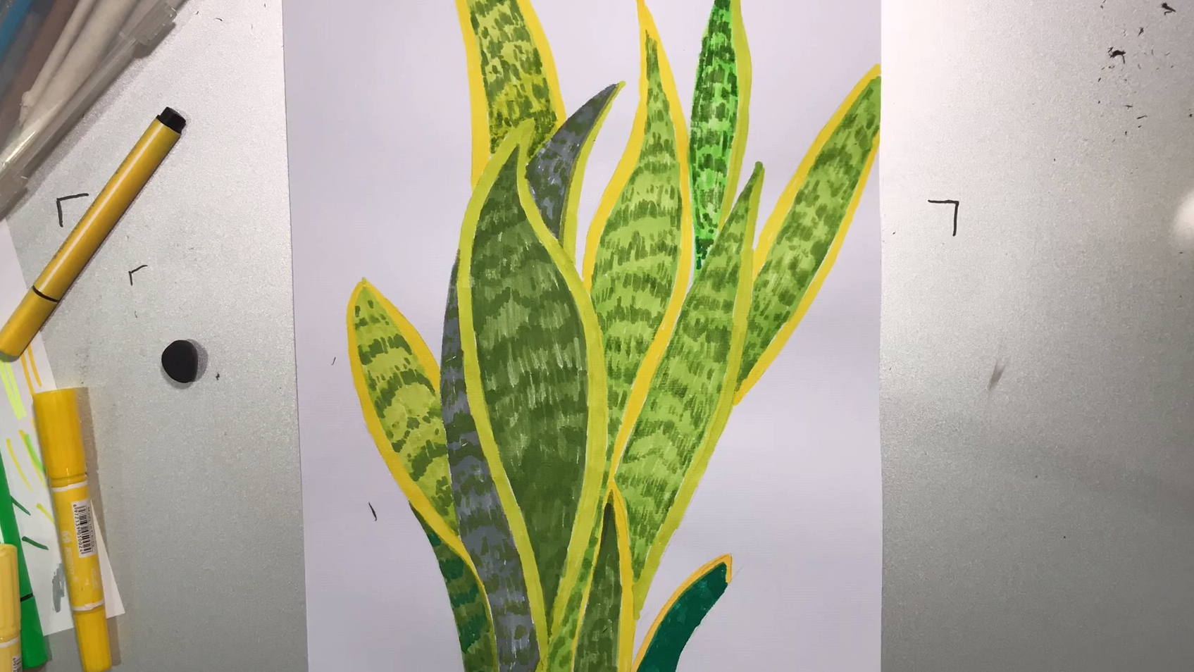 少儿美术 简单易学 水彩笔画虎尾兰