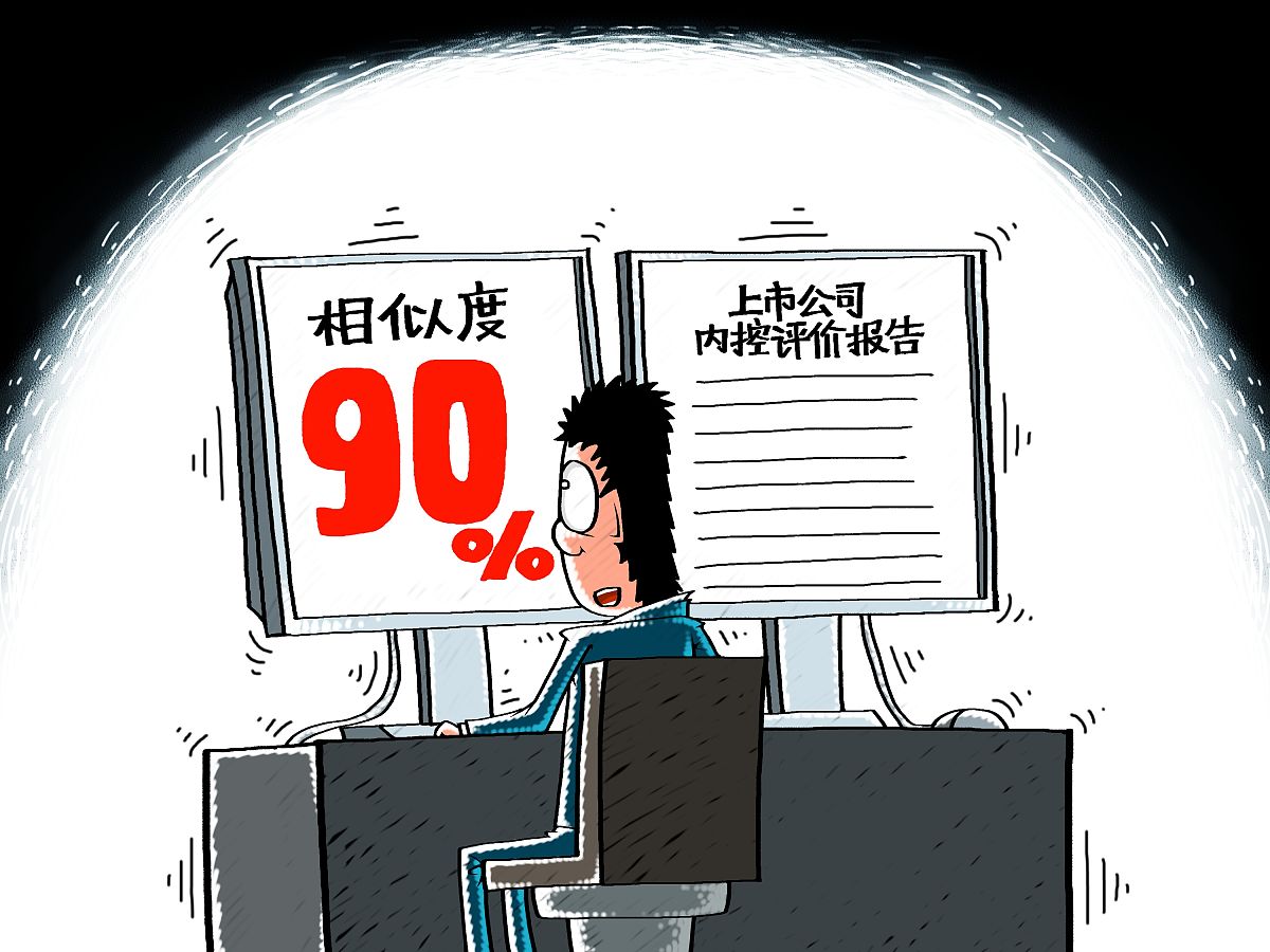 公司内控事项检查报告