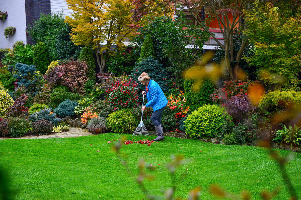 界首市颍南片区项目地块控制性详细规划目的