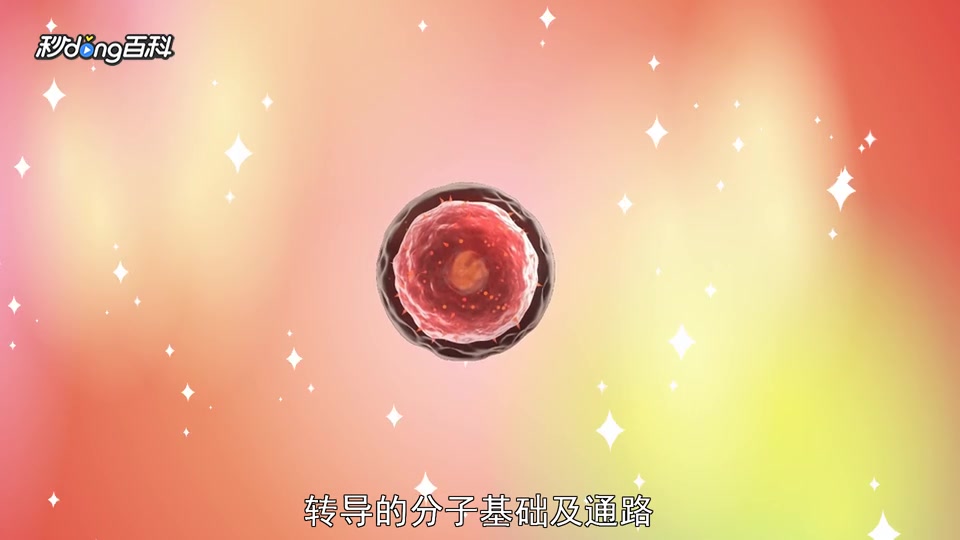 [图]一分钟读懂生物化学