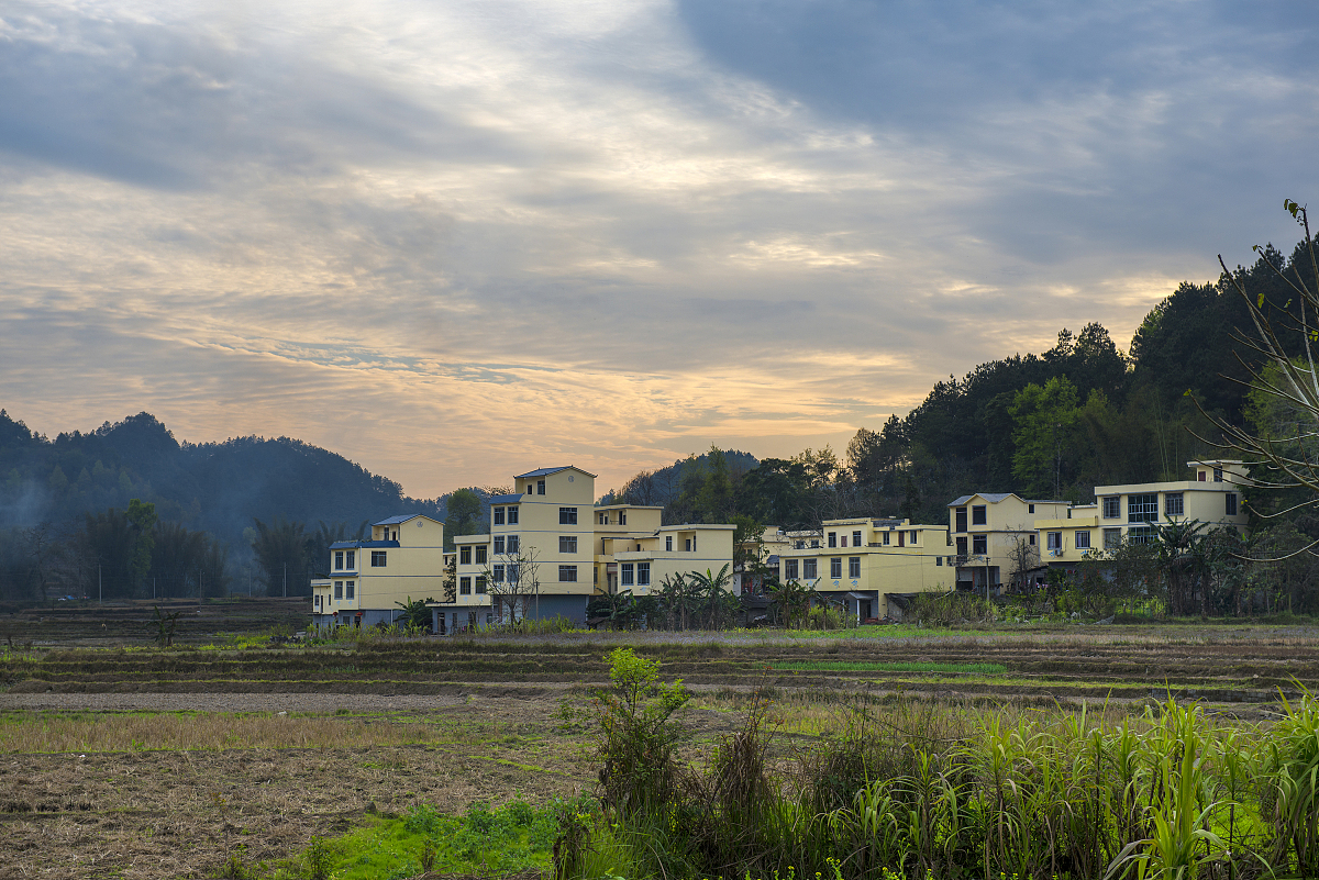 父亲节作文：表达爱与感谢的最佳时机