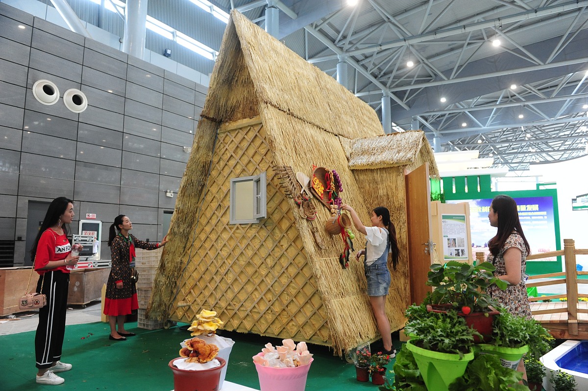 蒲草编织主题展厅：体验自然之美，感受艺术魅力